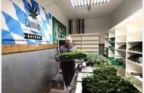 Germany Has Approved 474 Cannabis Clubs, Up 62% Since Last Summer